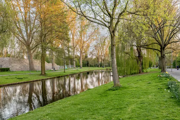Lepelaarsingel 151C, ROTTERDAM
