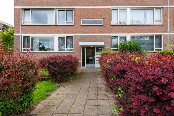 Bredenoord 193