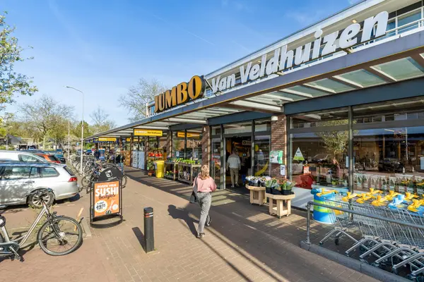 Vossenkamp 24, DRIEBERGEN-RIJSENBURG