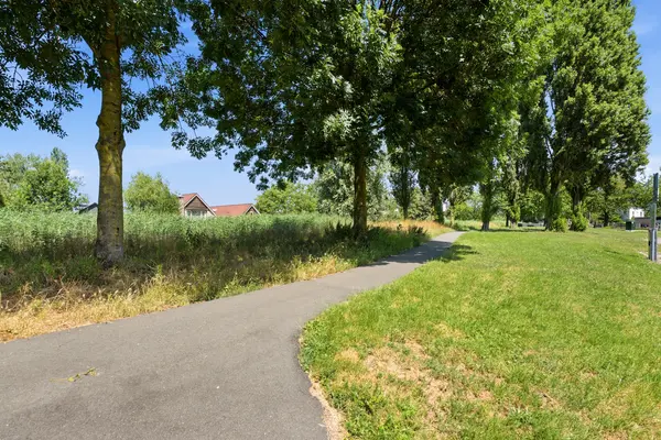 Jan Schoutenstraat 23, ROTTERDAM