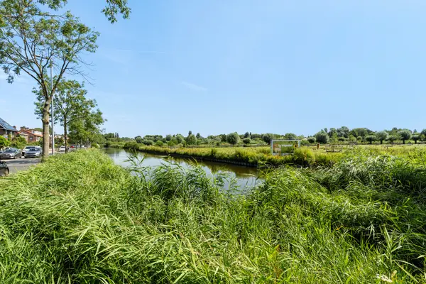 Ringdijk 74, ROTTERDAM