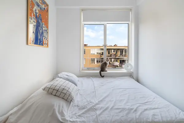 Van der Horststraat 11F, ROTTERDAM