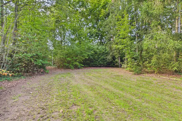 Roosendaalsebaan 30, Schijf