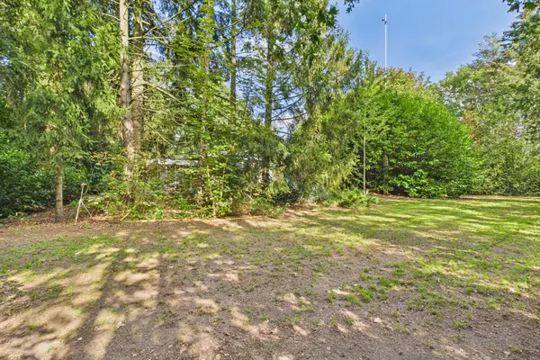 Roosendaalsebaan 30, Schijf