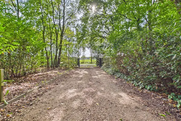 Roosendaalsebaan 30, Schijf