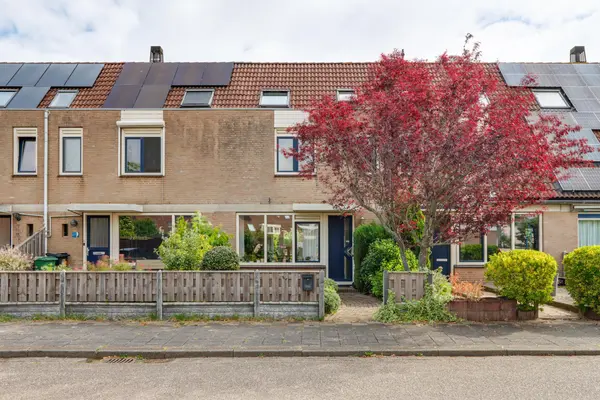 Albergerbos 120