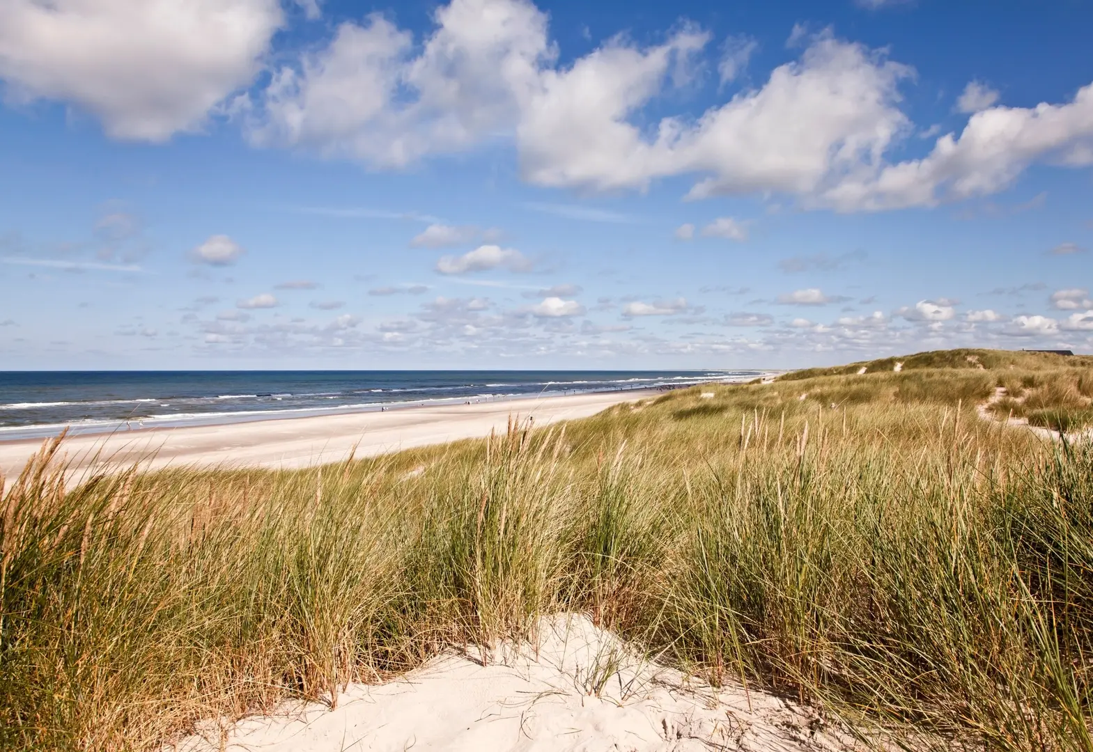 Bouwnummer 29 in Castricum