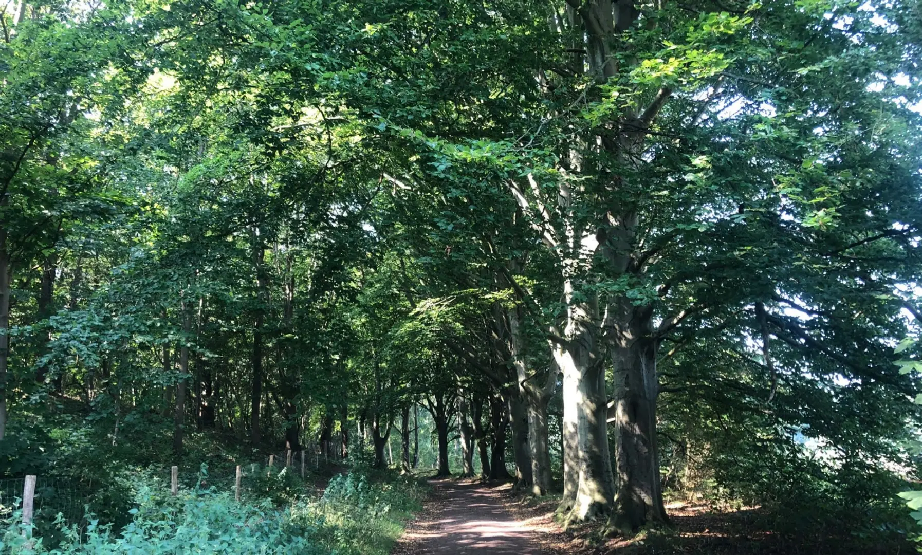 Bouwnummer 29 in Castricum