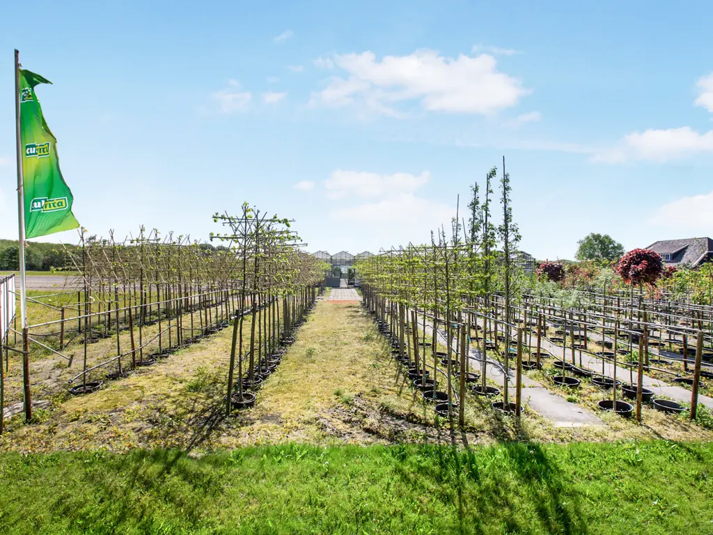 Zanderijweg 12, bouwnummer 37, CASTRICUM