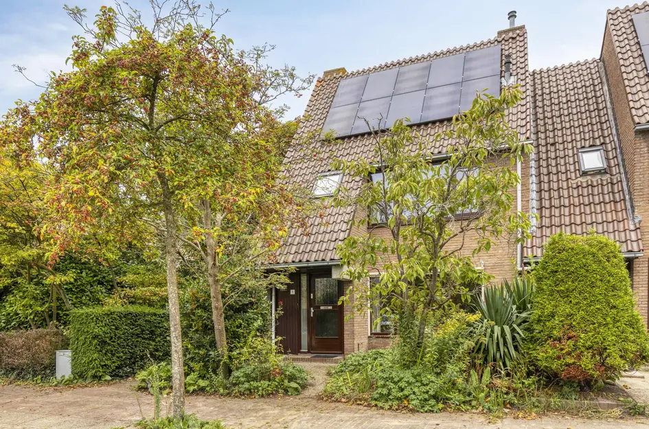 Droogbloem 1 in Castricum