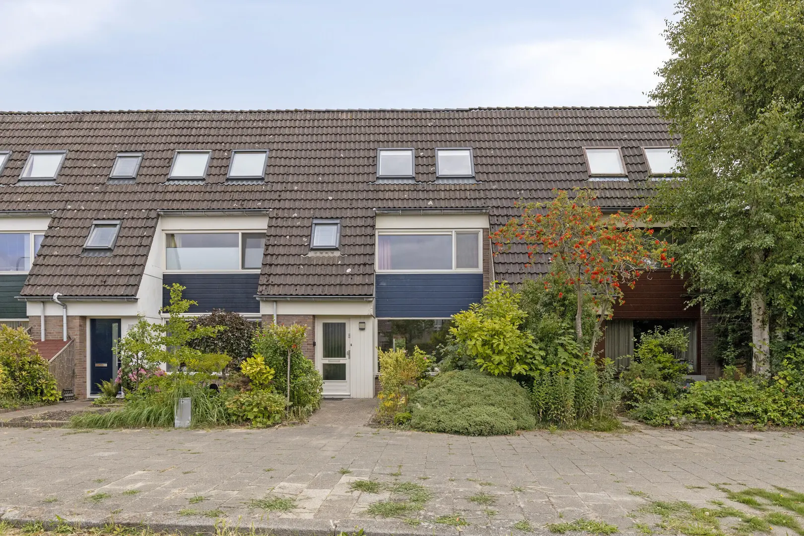 Zwanebloem 7 in Castricum