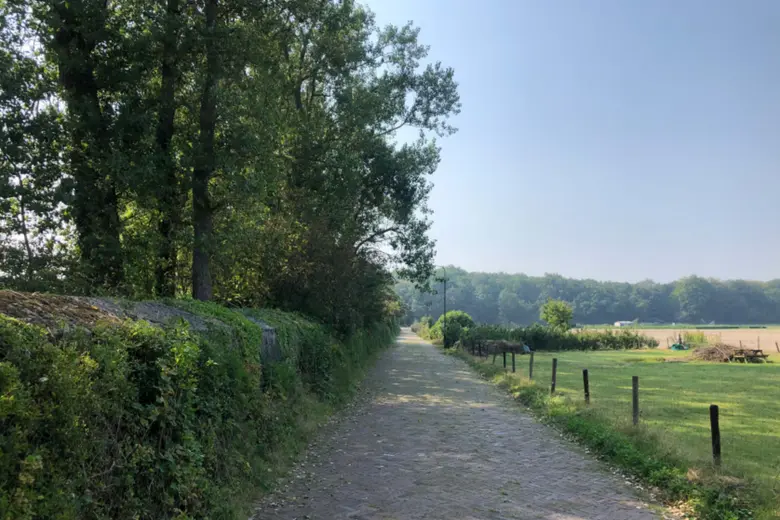 Foto 12 van Zanderijweg 13