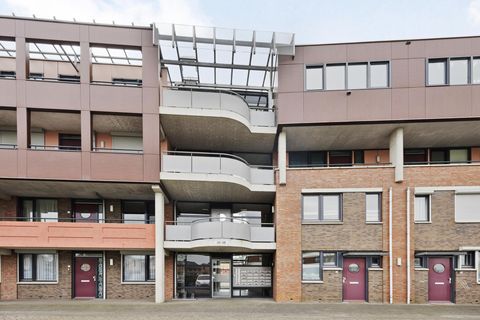 Vlaemsche Hoeve 88