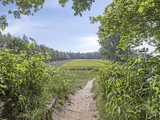 Foto van Nijlring 23