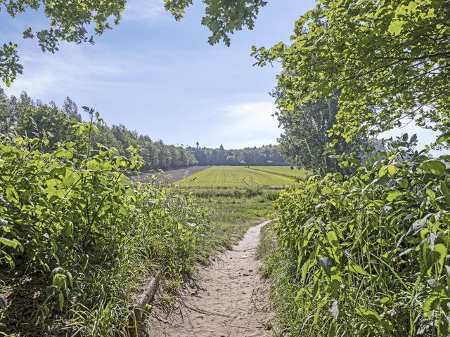 Foto van Nijlring 23