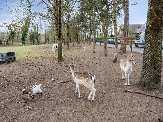 Foto van Badweg 26