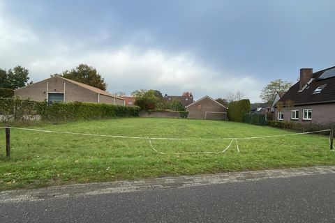 Groenewoud 