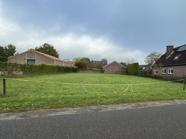 Foto van Groenewoud 