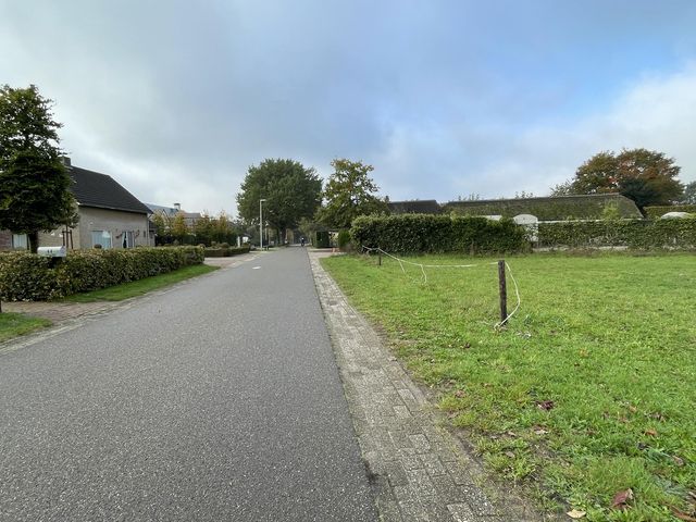 Foto van Groenewoud 