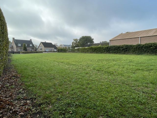 Foto van Groenewoud 