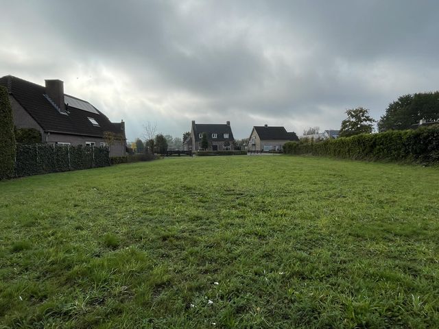 Foto van Groenewoud 