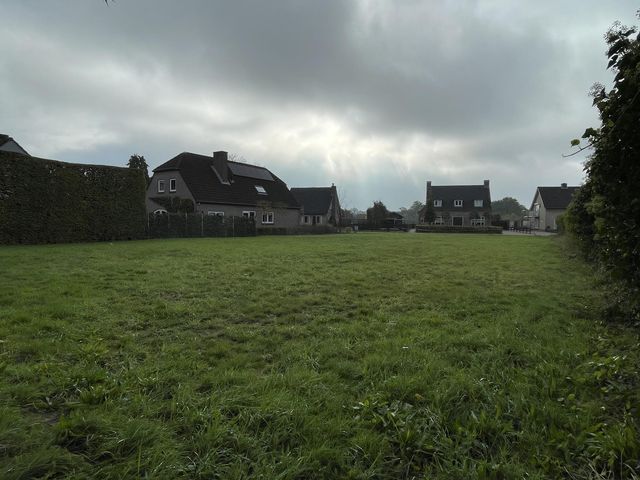 Foto van Groenewoud 