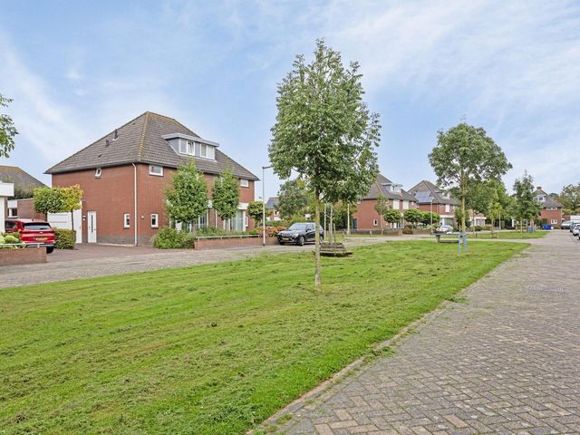 Foto van Hauwkes 4