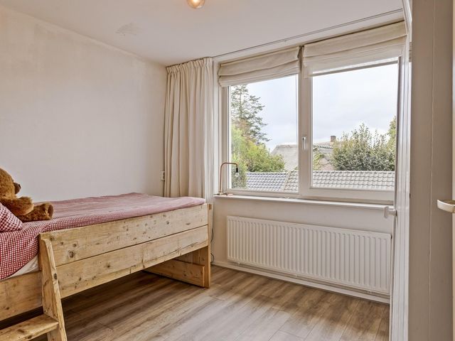 Foto van Hauwkes 4