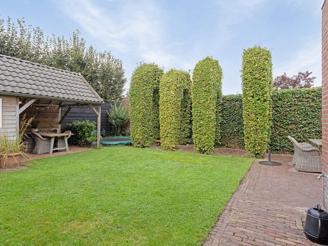 Foto van Hauwkes 4