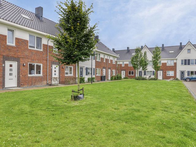 Foto van Kamille 28