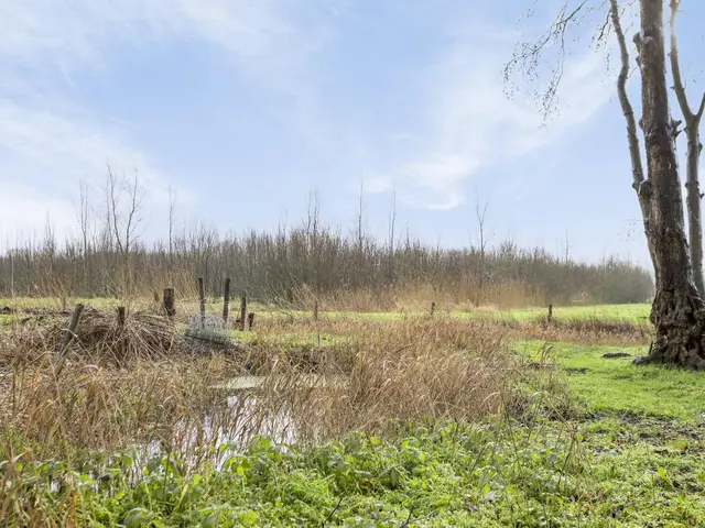 Foto van Molenhoek 26