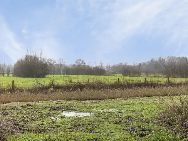Foto van Molenhoek 26