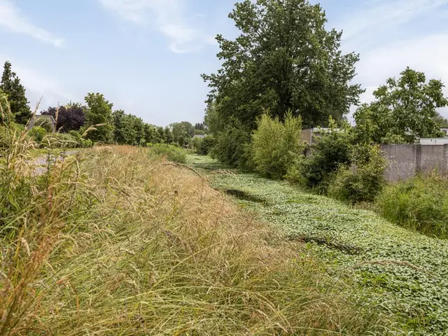 Foto van Marijnenlaan 61