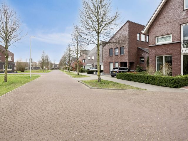 Foto van Laan van Nieuw-Guinea 19