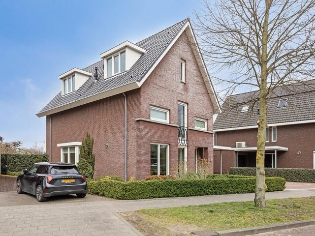 Foto van Laan van Nieuw-Guinea 19