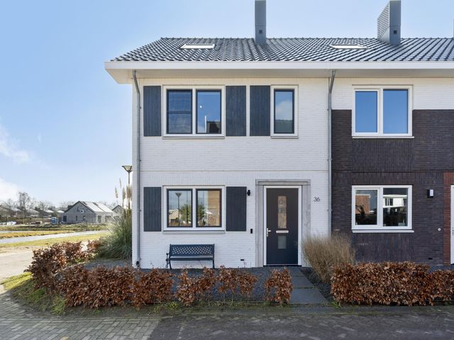Foto van Kamille 36