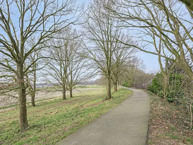 Foto van Rijnring 24