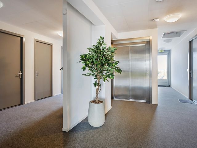 Foto van Laan van Tasmanie 51