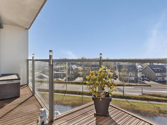Foto van Laan van Tasmanie 51
