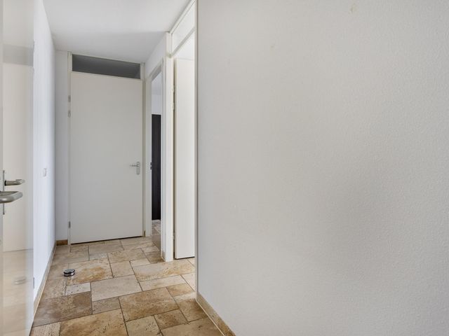 Foto van Laan van Tasmanie 51