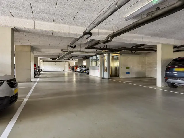Foto van Laan van Tasmanie 51