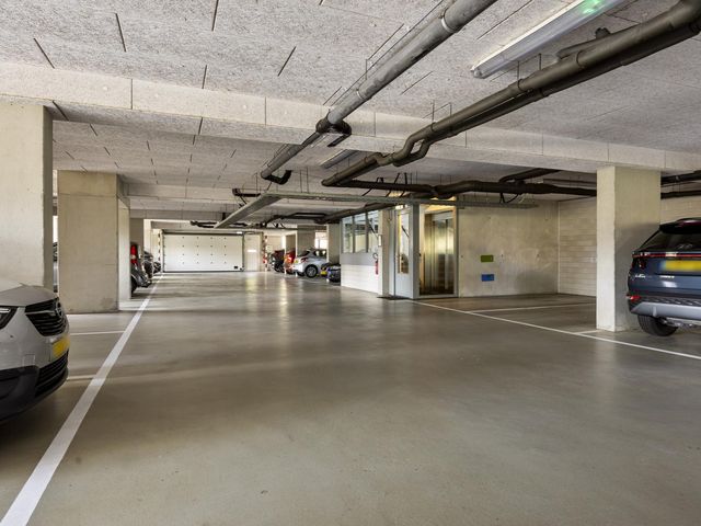 Foto van Laan van Tasmanie 51