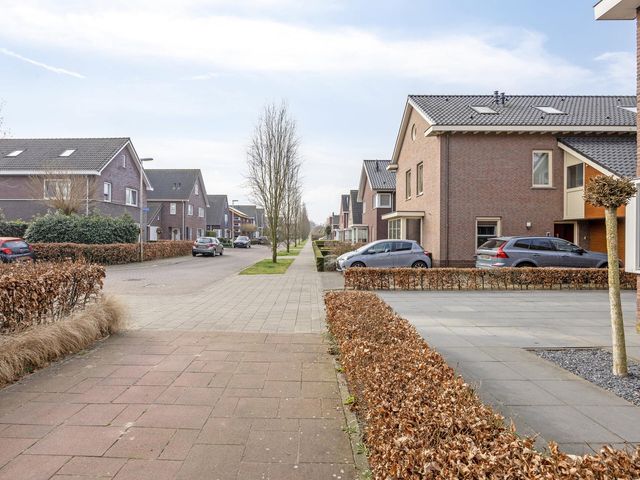 Foto van Laan van Samoa 19