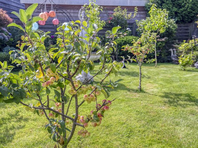 Foto van De Roverestraat 7