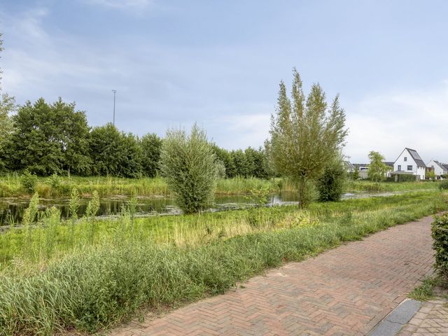 Foto van Aardbei 8