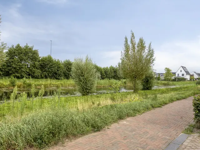Foto van Aardbei 8