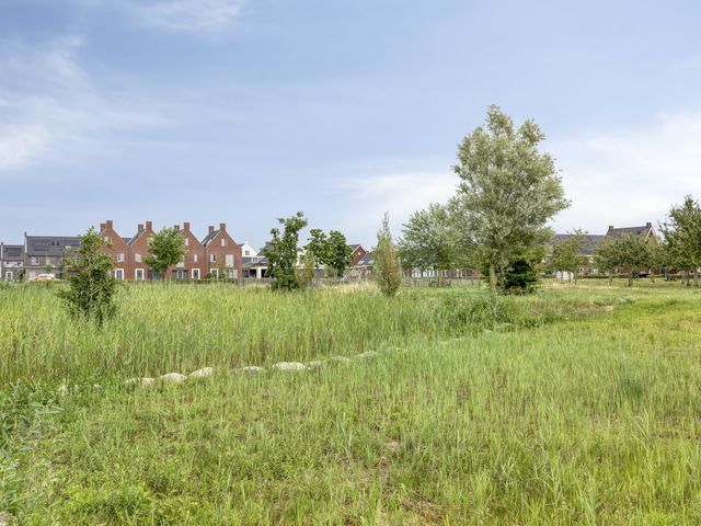 Foto van Aardbei 8