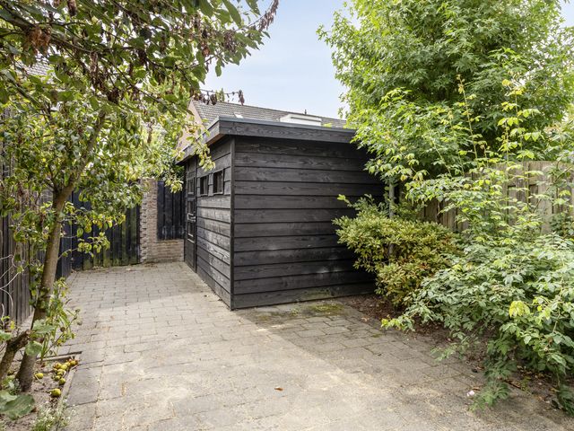 Foto van Wolgaplantsoen 5