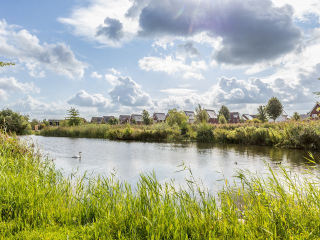 Foto van Ruisvoorn 6