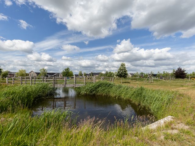 Foto van Ruisvoorn 6